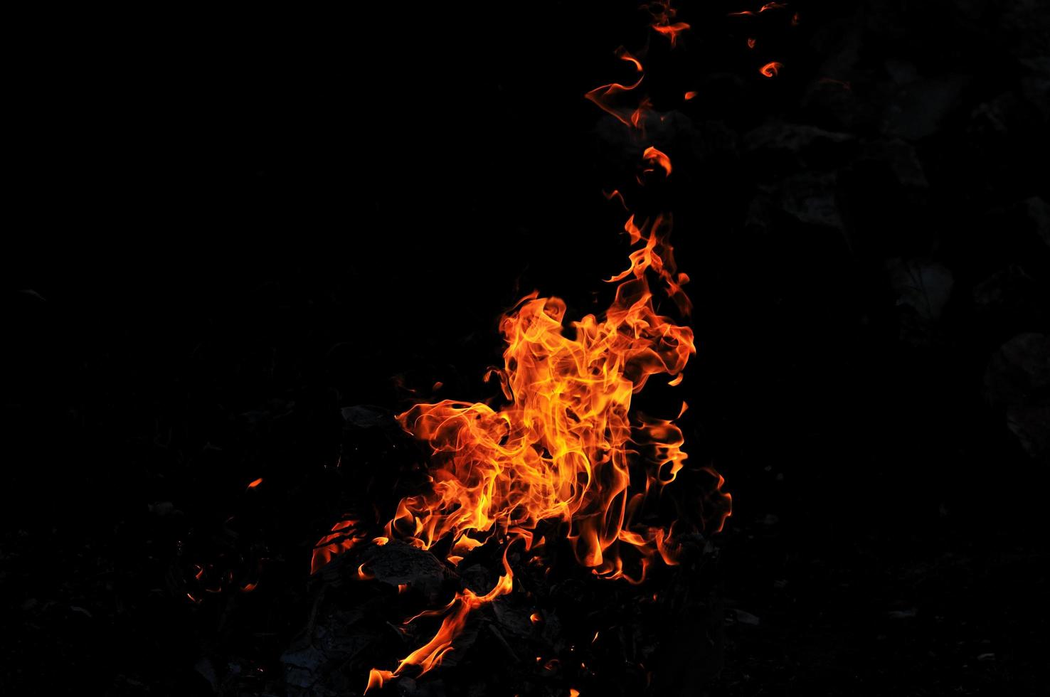 vue de feu sauvage photo