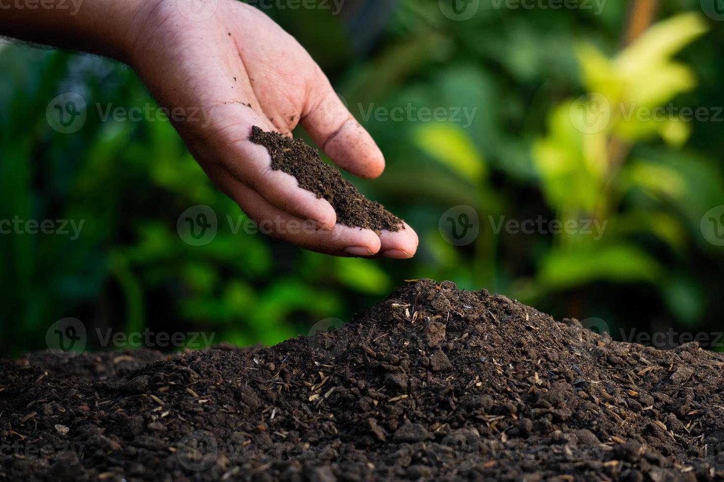 les mains tiennent le sol avec des graines de plantes. photos de nature pour l'environnement et les agriculteurs