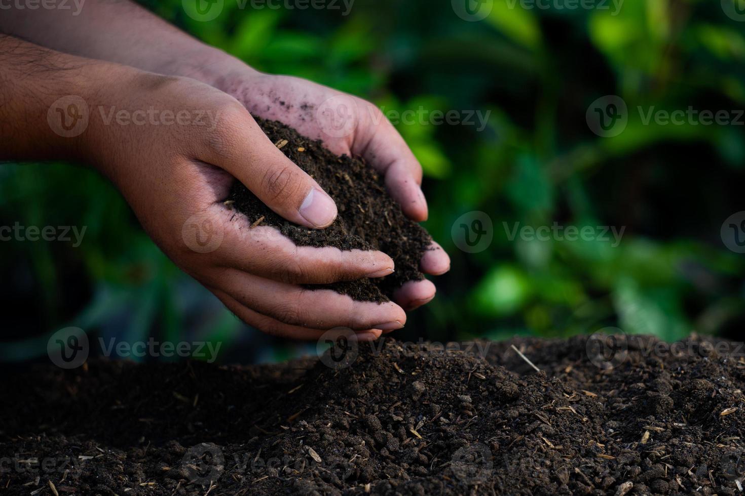 les mains tiennent le sol avec des graines de plantes. photos de nature pour l'environnement et les agriculteurs