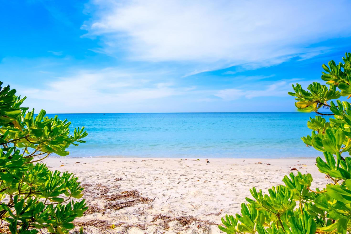 cadre de feuilles vertes sur un fond de plage de mer tropicale dans le concept d'été photo