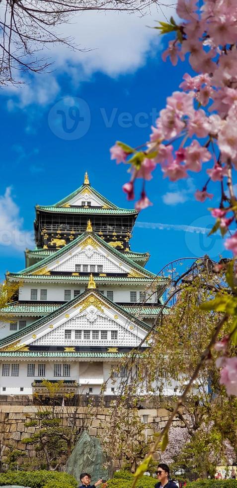 photo de paysage du château d'osaka au printemps, où il y a encore quelques fleurs de cerisier encore en fleurs.