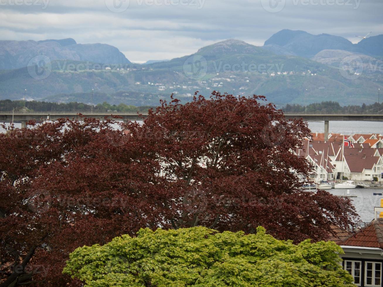 stavanger en norvège photo