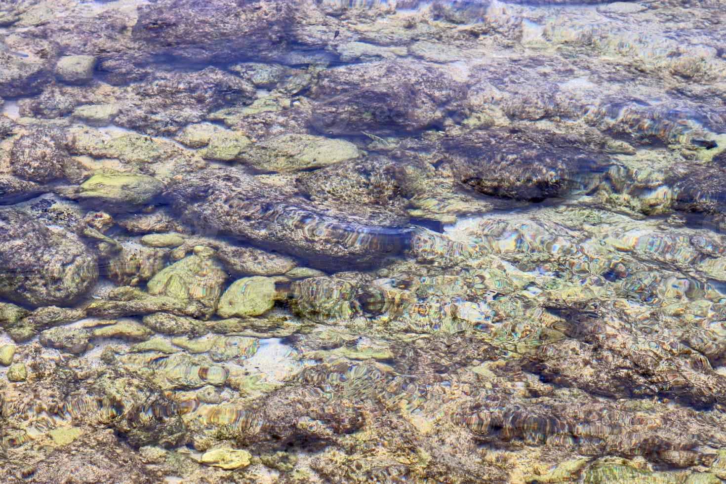 photos colorées des fonds marins prises sur les plages des îles seychelles