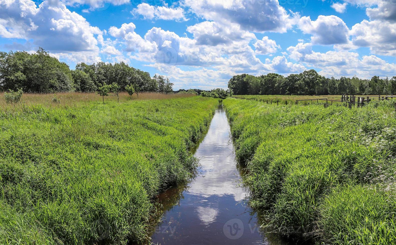 aérienne d'un champ agricole avec de l'herbe verte. photo