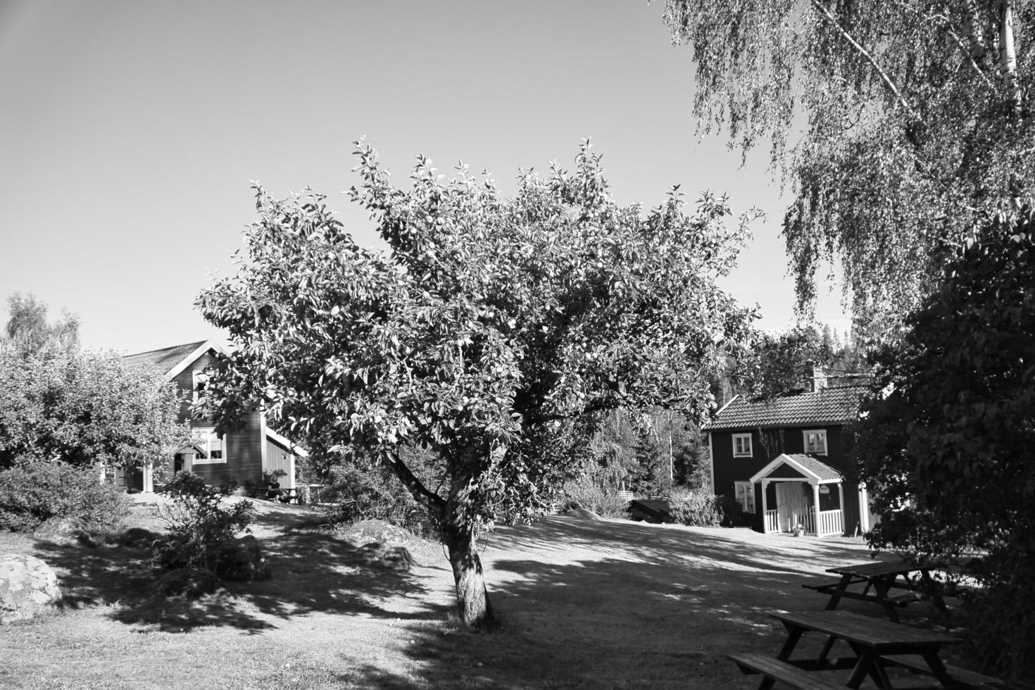 suédois en noir et blanc. maison traditionnelle dans petit et, clôture, jardin photo