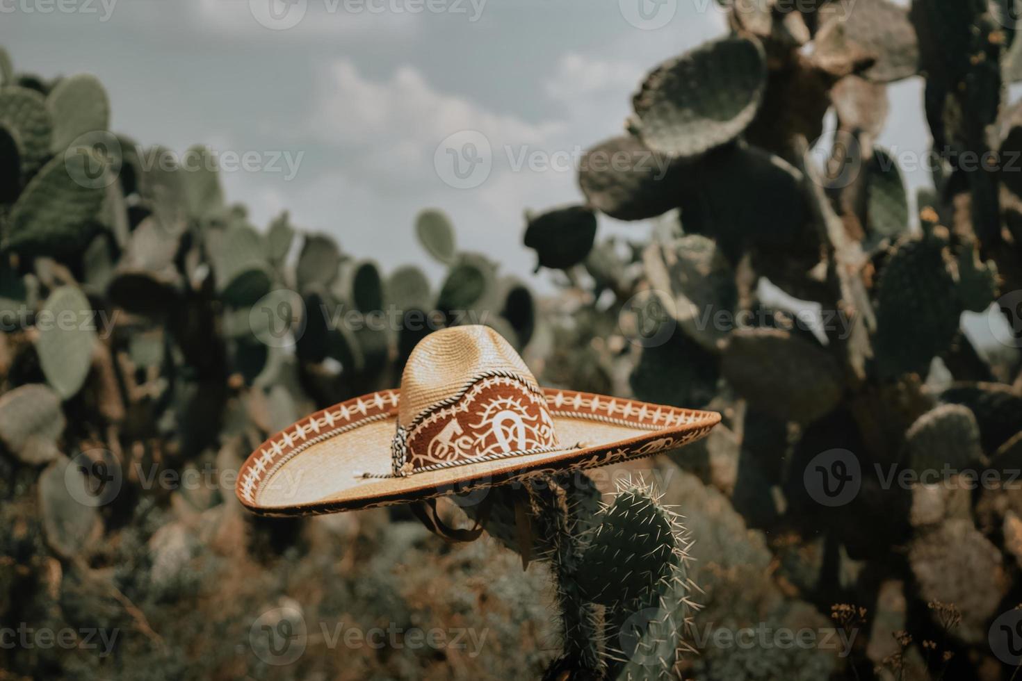 élégant chapeau charro traditionnel avec fond de nopales et de cactus photo