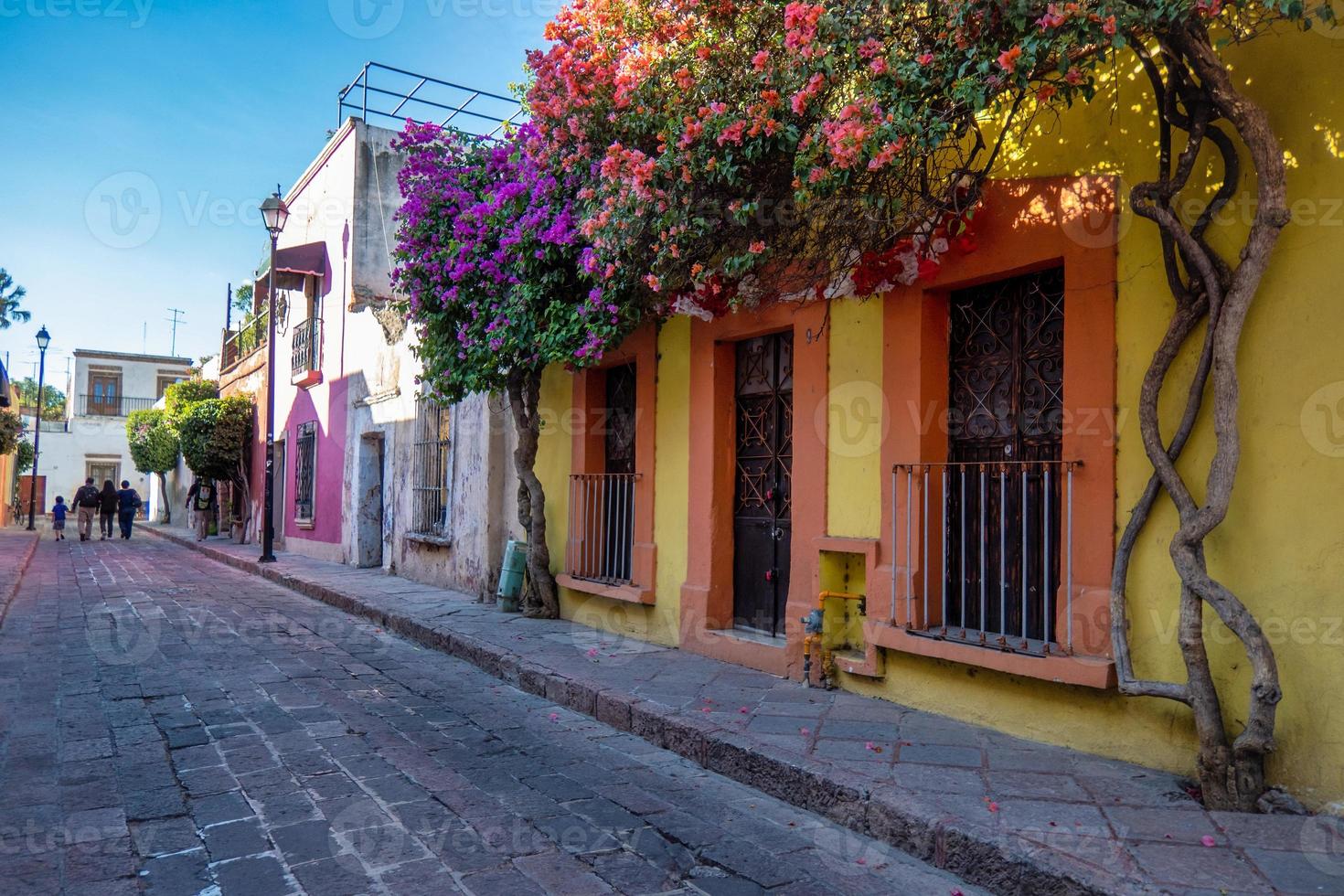 rue rustique avec fenêtres et fleurs de bougainvilliers à queretaro, mexique photo