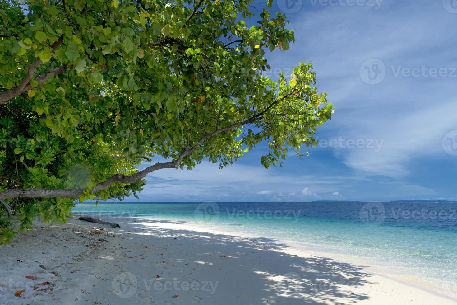 paradis tropical turquoise plage de sable blanc photo