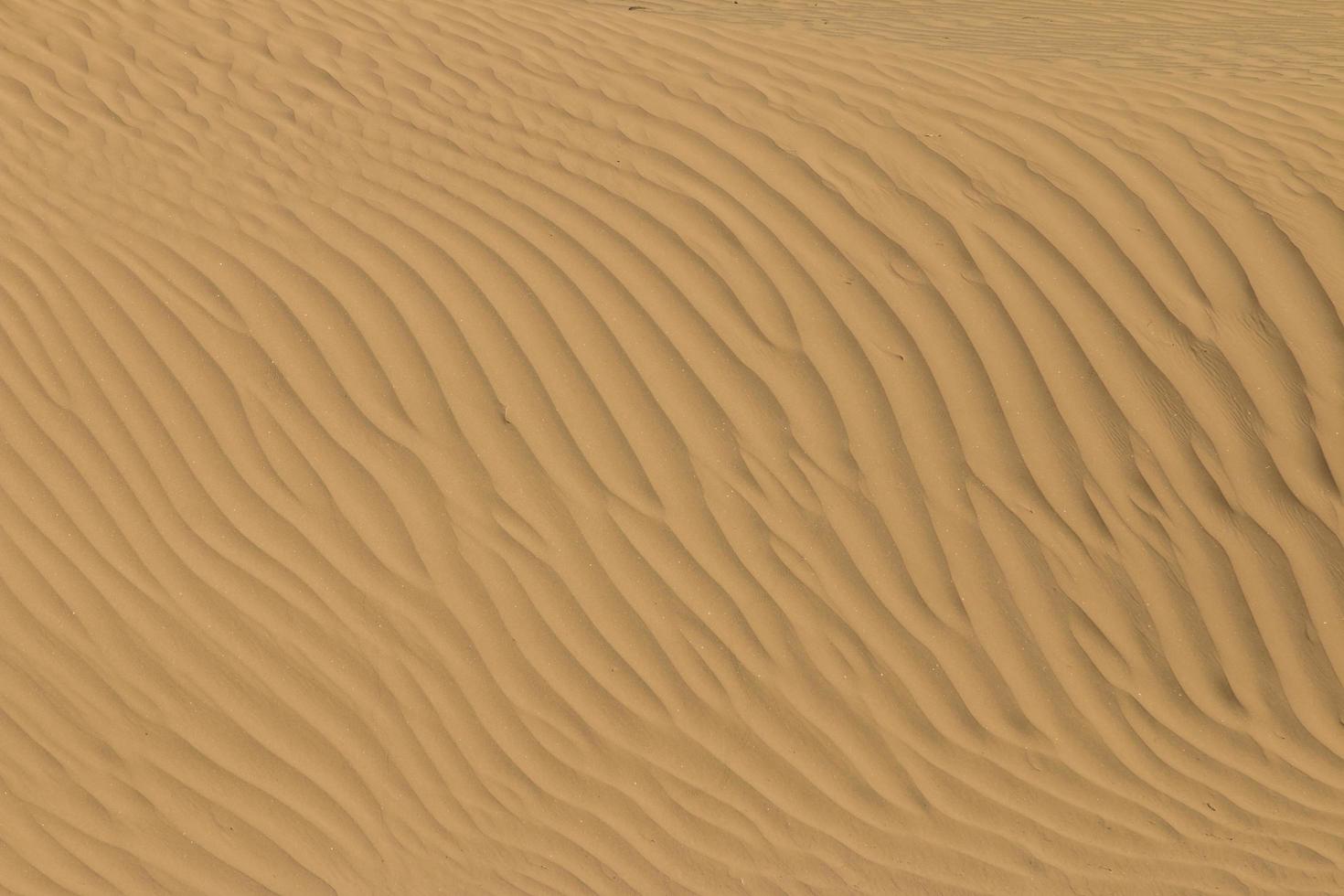 détail abstrait de sable dans les dunes photo