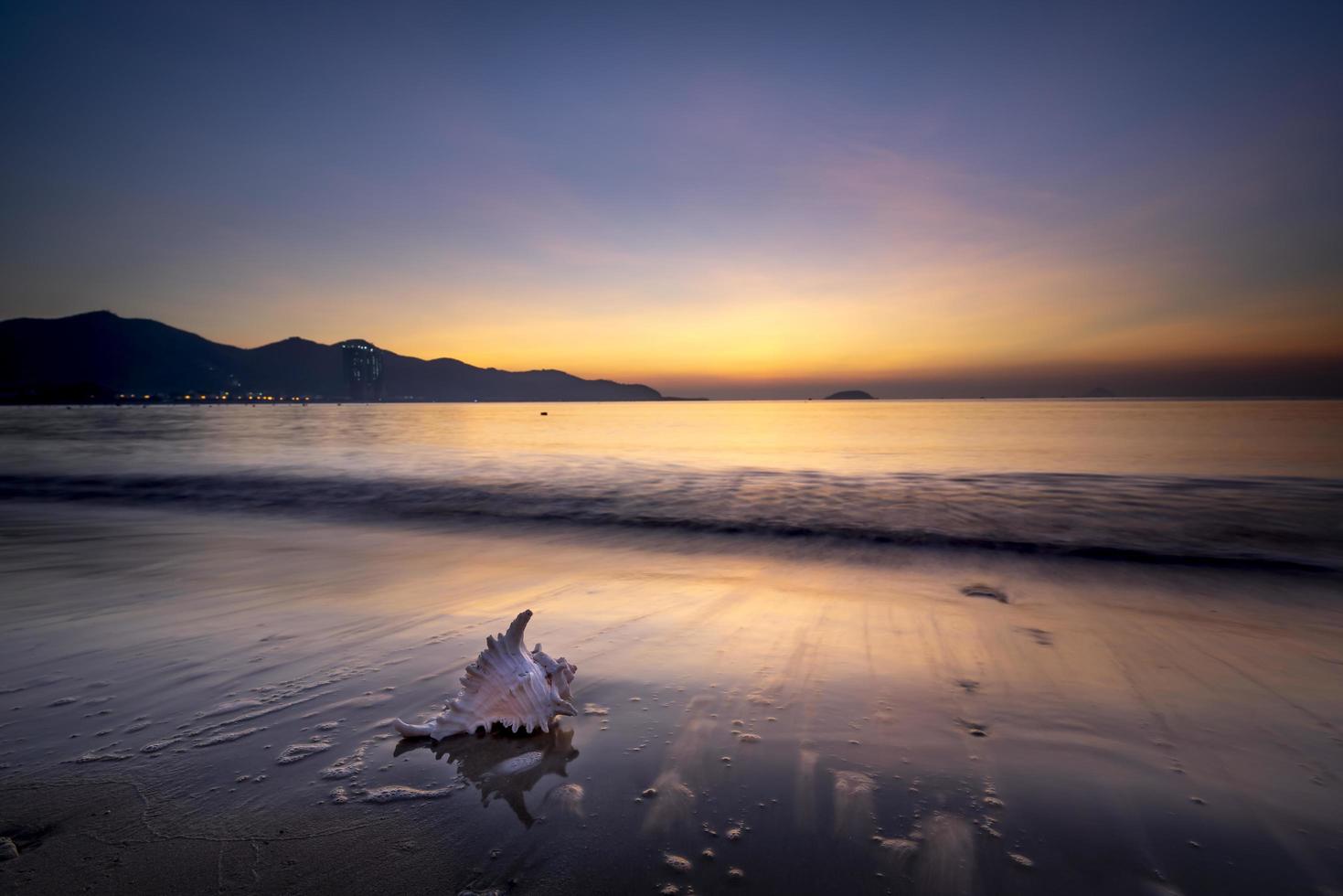 coquille de conque sur la plage au coucher du soleil photo