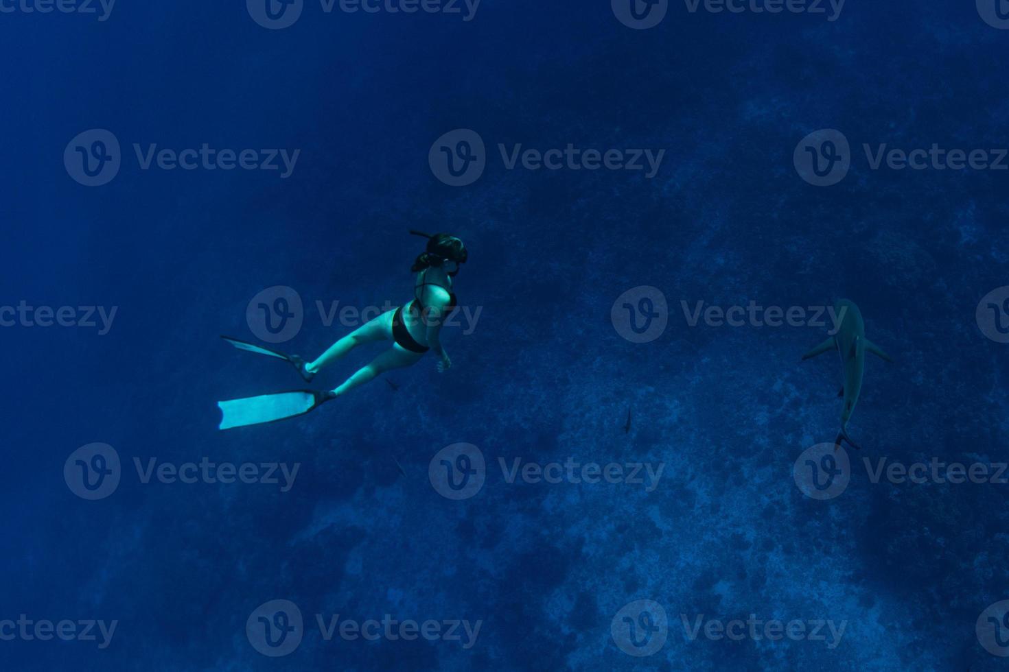 les gens font de la plongée avec des requins dans l'océan bleu de la polynésie photo