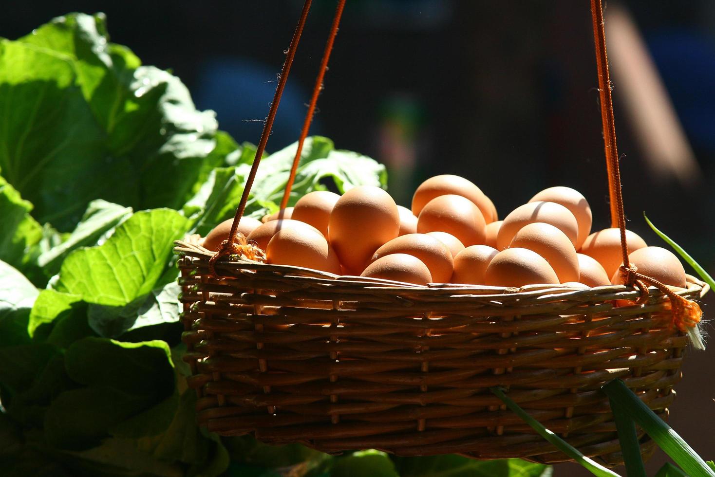 panier rempli d'oeufs photo