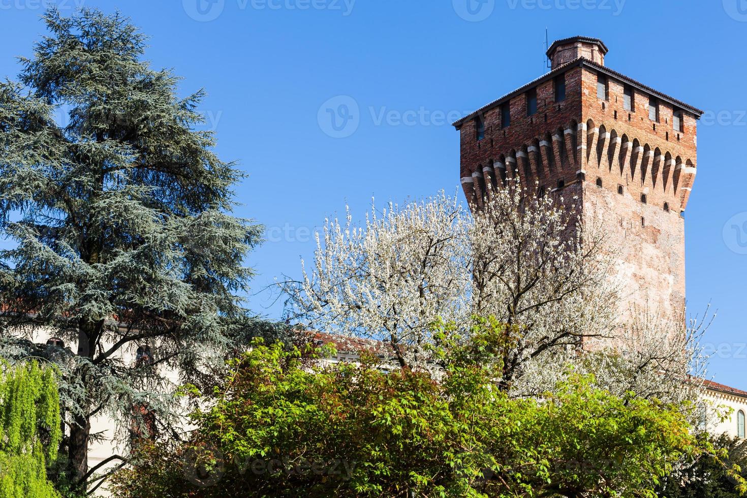voir torre di porta castello à vicence au printemps photo