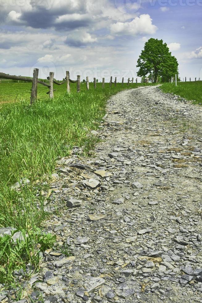 chemin avec clôture photo