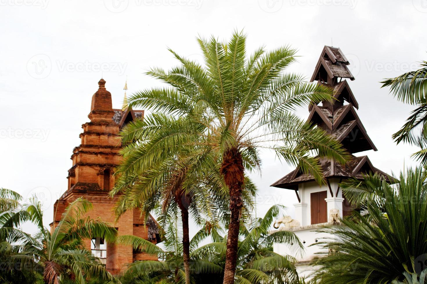 jardin botanique tropical nongnooch, pattaya photo