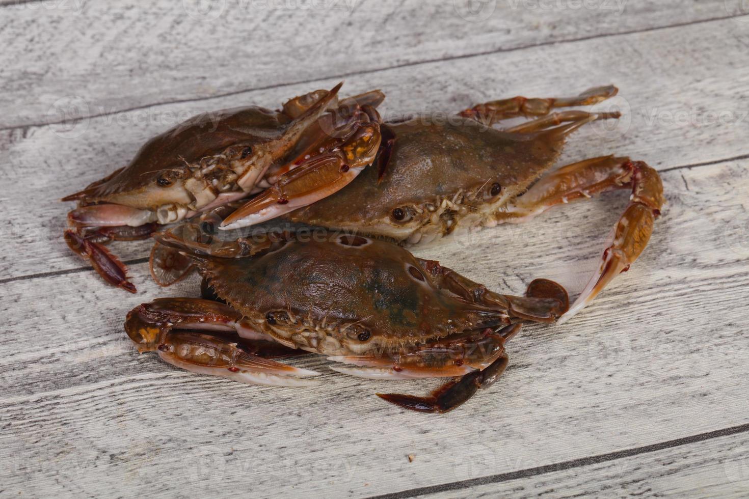 crabe cru - prêt pour la cuisson photo