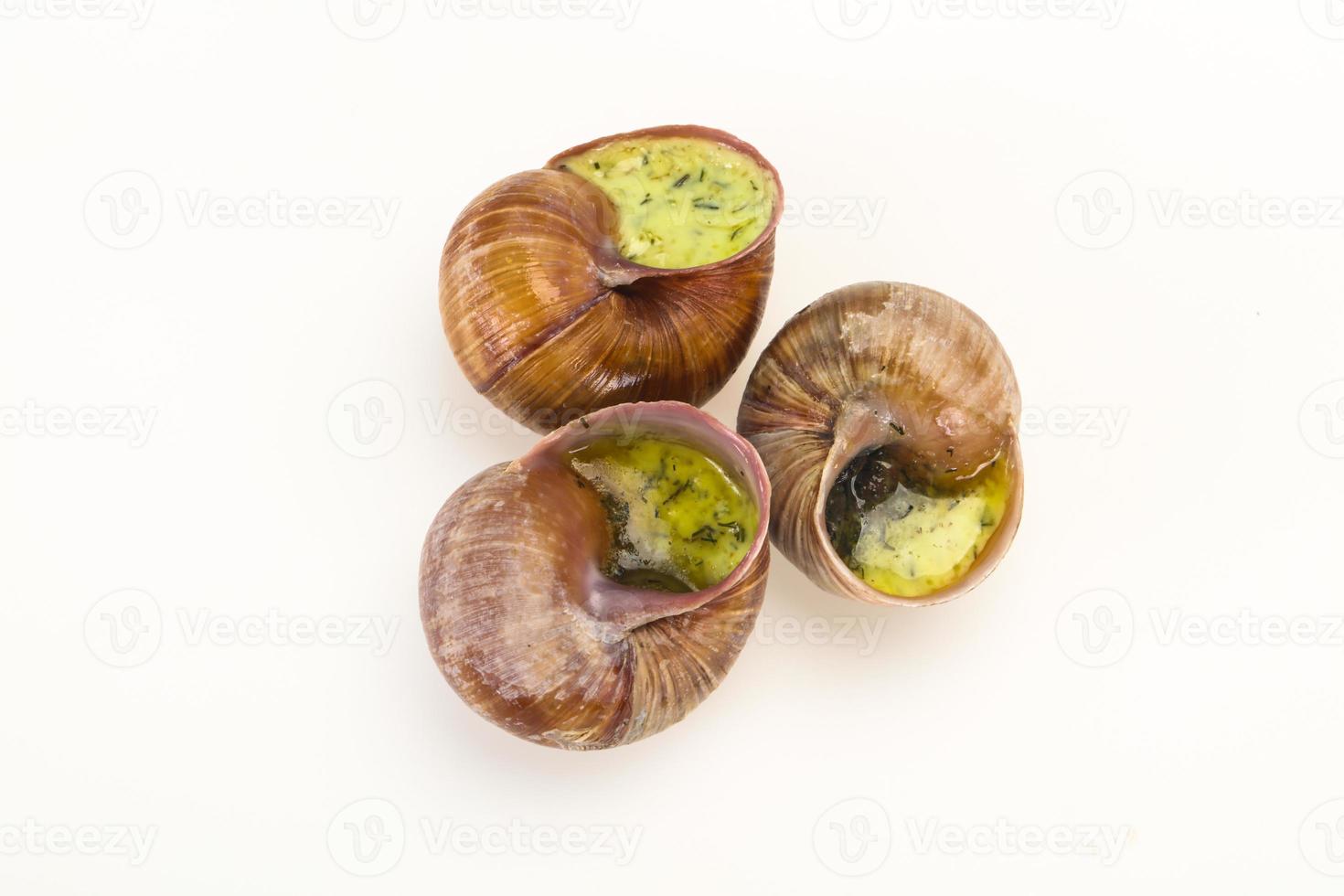 cuisine française - escargot avec sauce photo