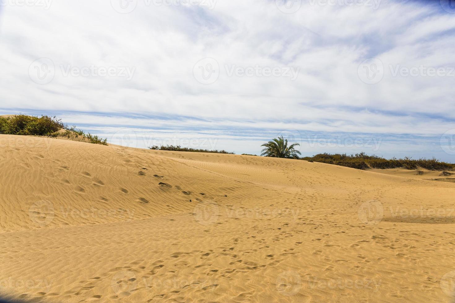 duna de maspalomas - désert dans l'île des canaries gran canaria photo