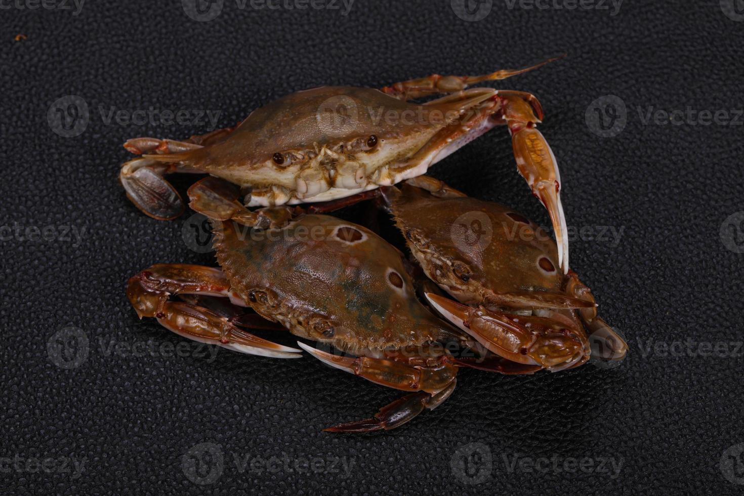 crabe cru - prêt pour la cuisson photo