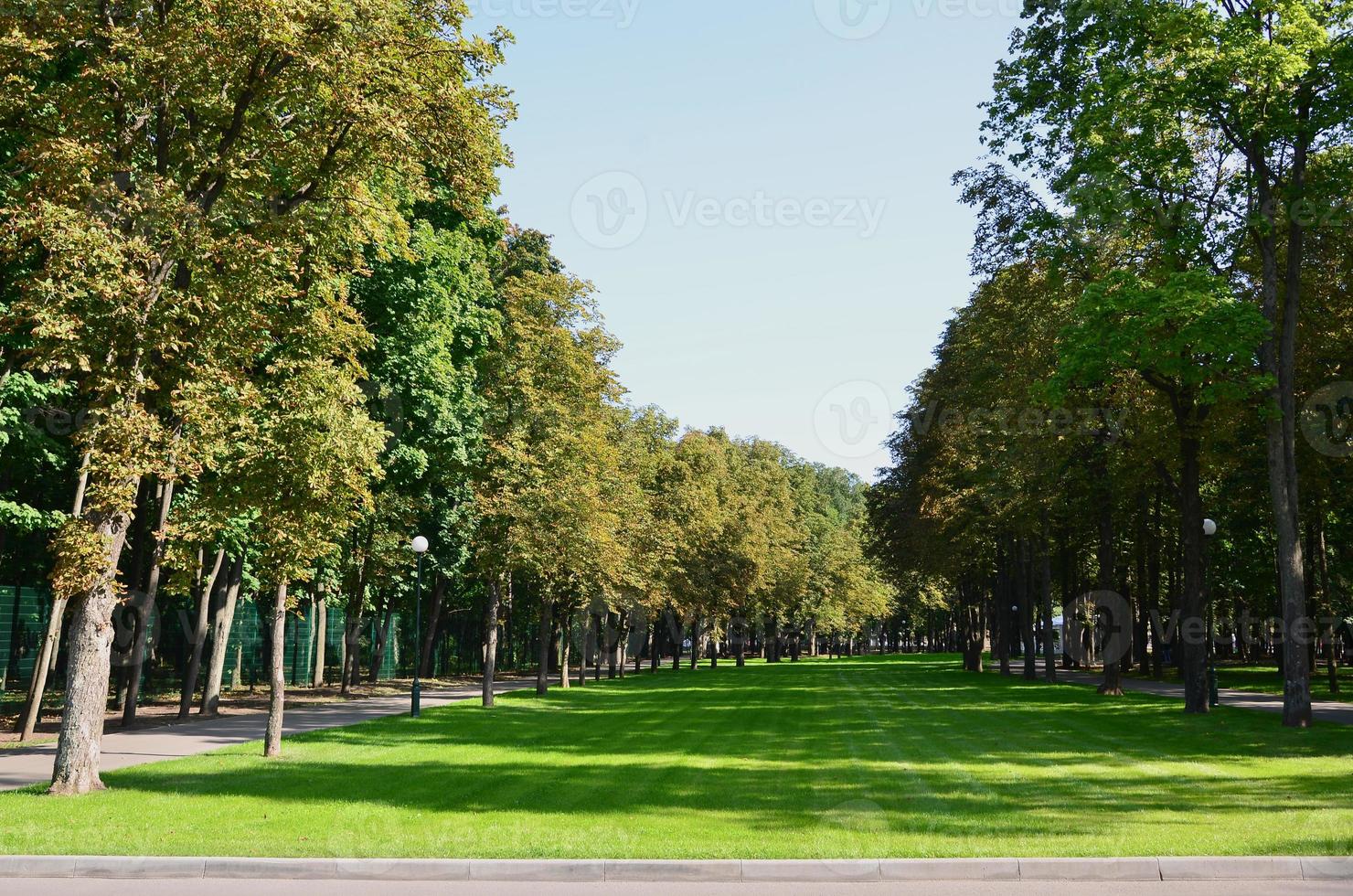 arbres verts et oranges dans un magnifique parc. paysage d'automne floral et naturel photo
