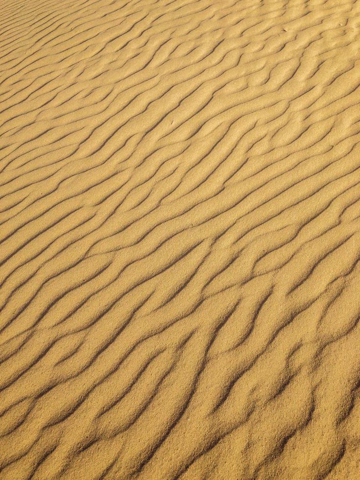 lignes dans le sable photo