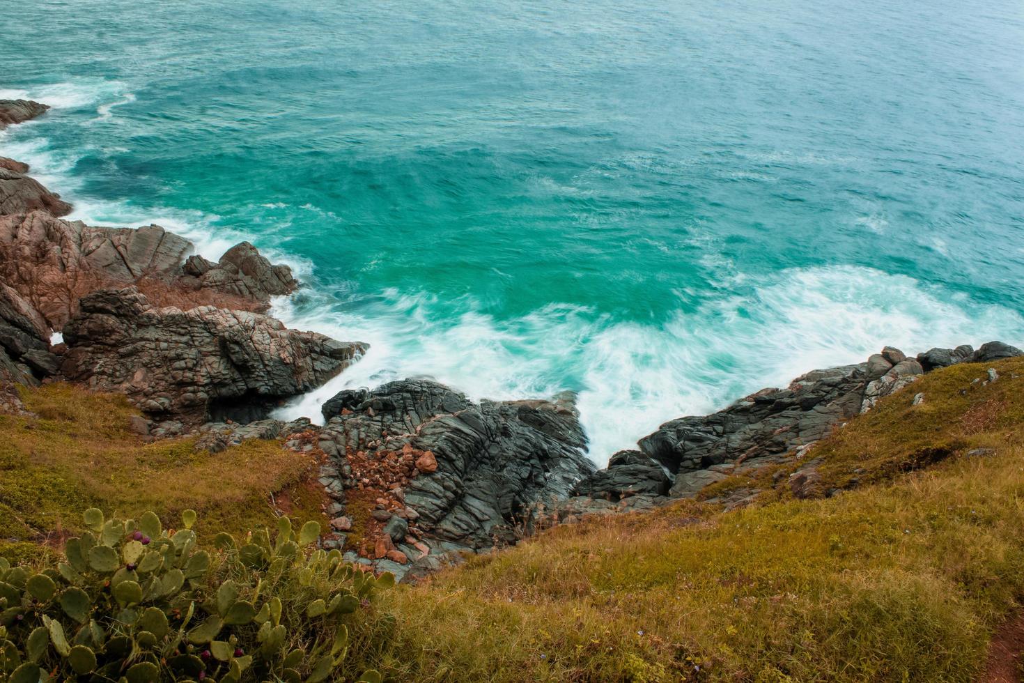 falaise herbeuse près de l'océan photo