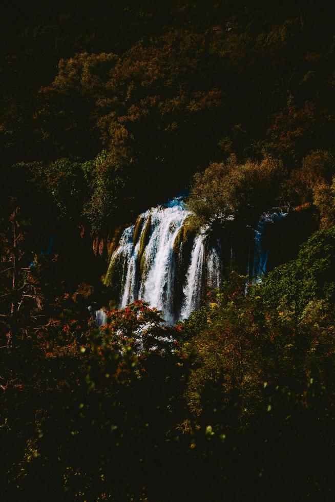 cascade solitaire dans la forêt photo