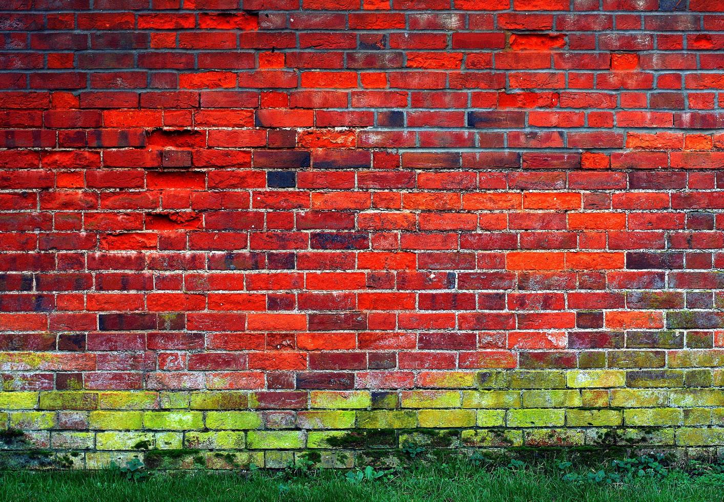 mur de briques rouges et vertes photo