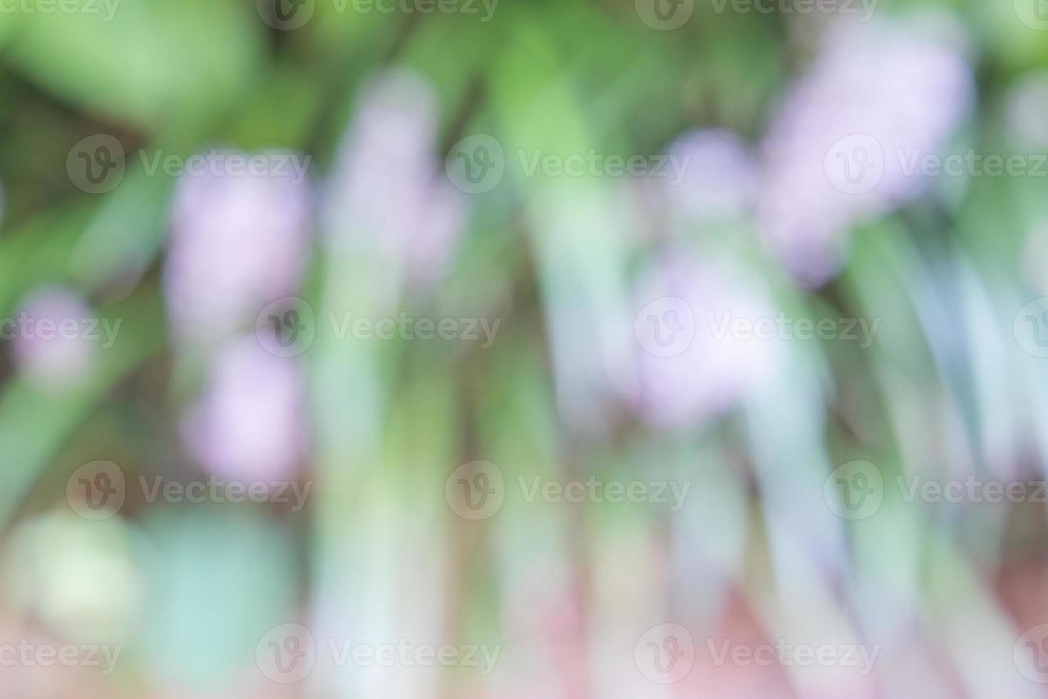 une image défocalisée de la forme, de la lumière et de la texture dans un jardin d'été. photo