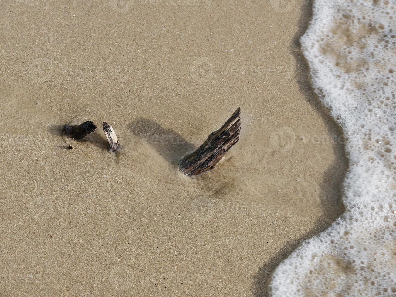 gros plan vue de dessus d'un bâton de bois de branche d'arbre sur la plage de sable, un instant avant d'être précipité par la vague de la mer. pour le fond avec espace de copie. photo