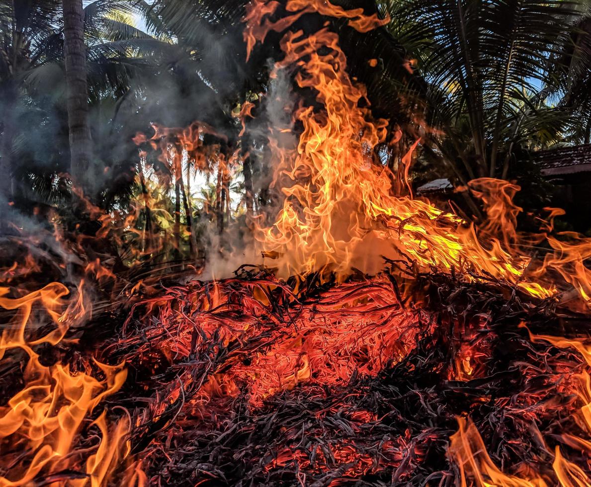 flammes du feu photo