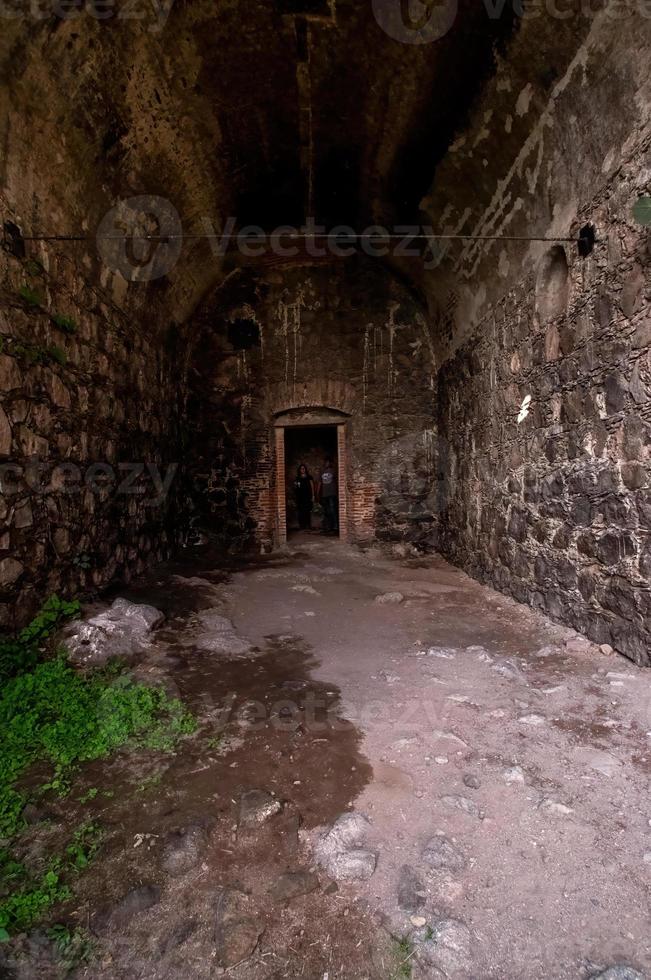 vieux bâtiment abandonné, la nature repousse la brique photo