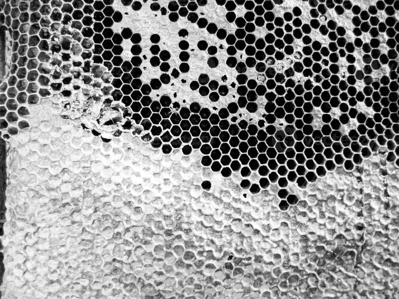 la structure hexagonale abstraite est en nid d'abeille de la ruche d'abeilles photo