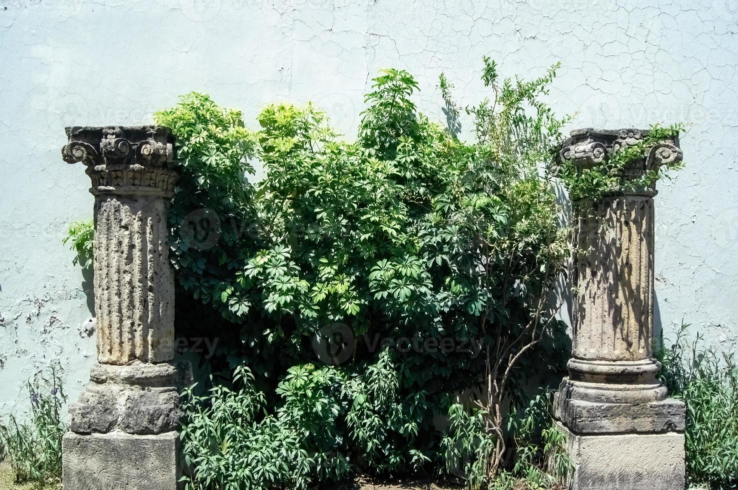 colonne de pierre grecque, plantes environnantes, style doré, mur en arrière-plan, mexique photo