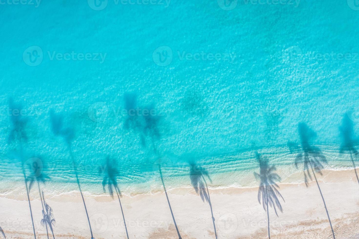 palmiers de plage sur la plage de sable ensoleillée et l'océan turquoise d'en haut. paysage naturel d'été incroyable. superbe paysage de plage ensoleillé, modèle de vacances à la plage relaxante, paisible et inspirante photo