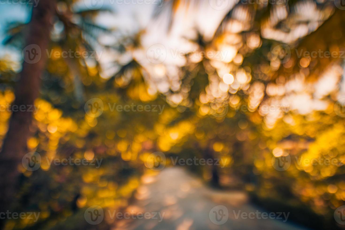 flou nature bokeh green park près de la plage et des cocotiers tropicaux au coucher du soleil. sentier de l'île d'été, paysage naturel bokeh flou de rêve. lumière du soleil chaude, paysage naturel abstrait exotique photo