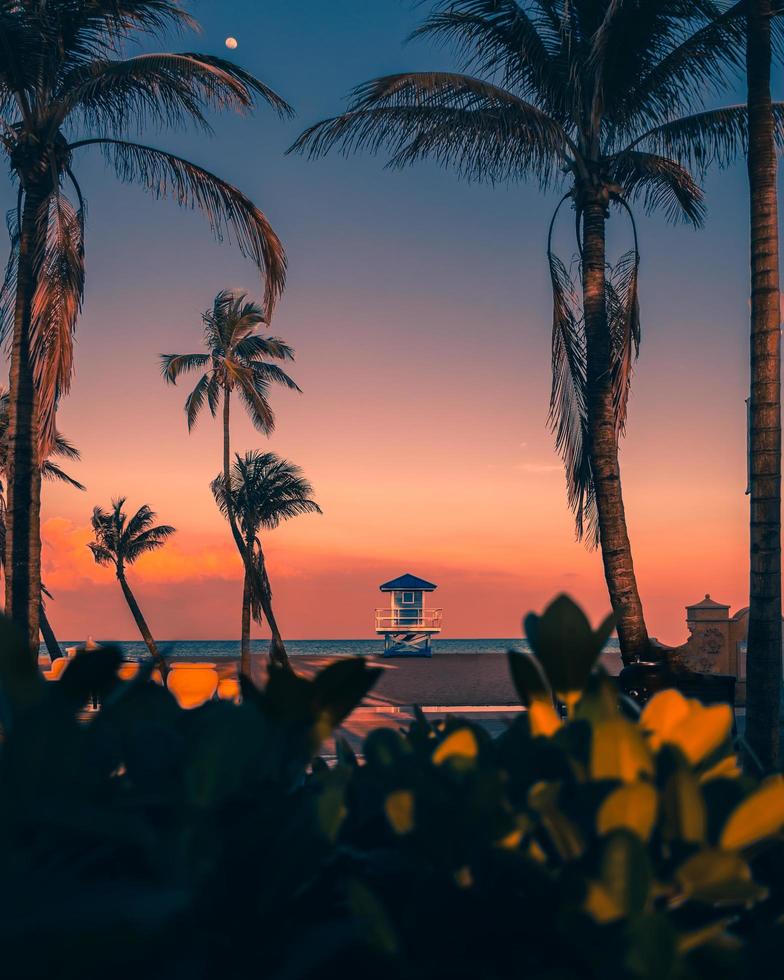 silhouette de palmiers avec une maison bleue photo