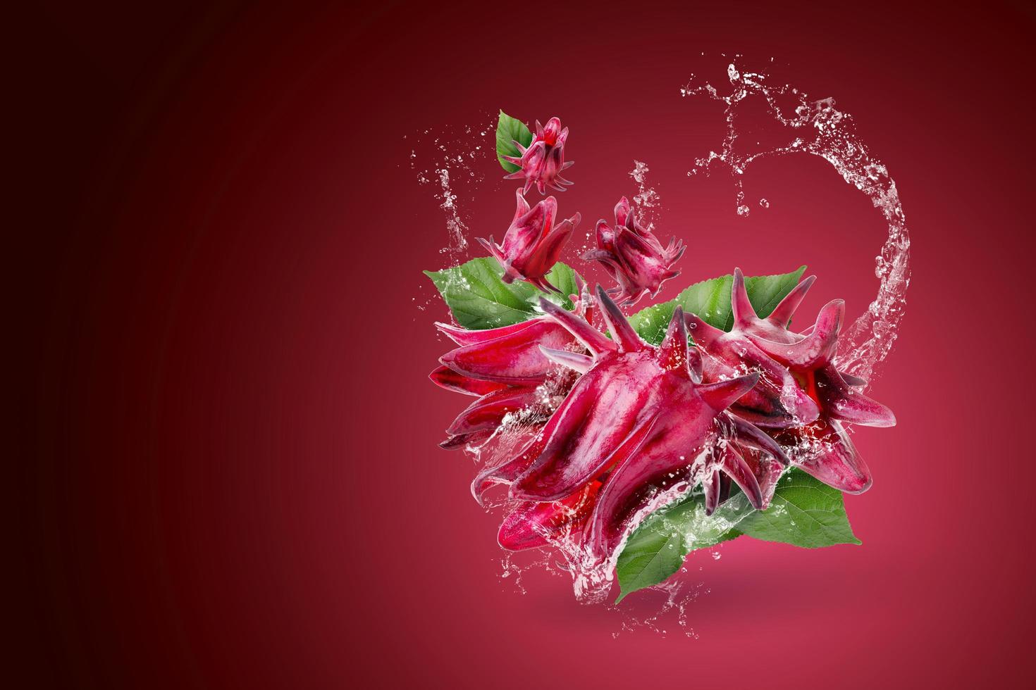éclaboussures d'eau sur l'hibiscus roselle photo