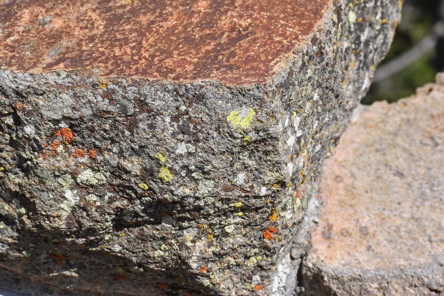 Lichen poussant sur le granit à l'intérieur du parc national de Yellowstone photo