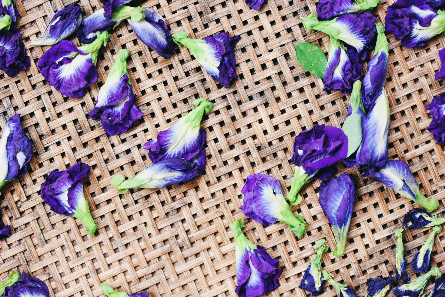 Fleurs de pois papillon pour sécher sur fond de bois - pois papillon, bluebellvine, pois bleu, pois cordofan clitoria ternatea photo