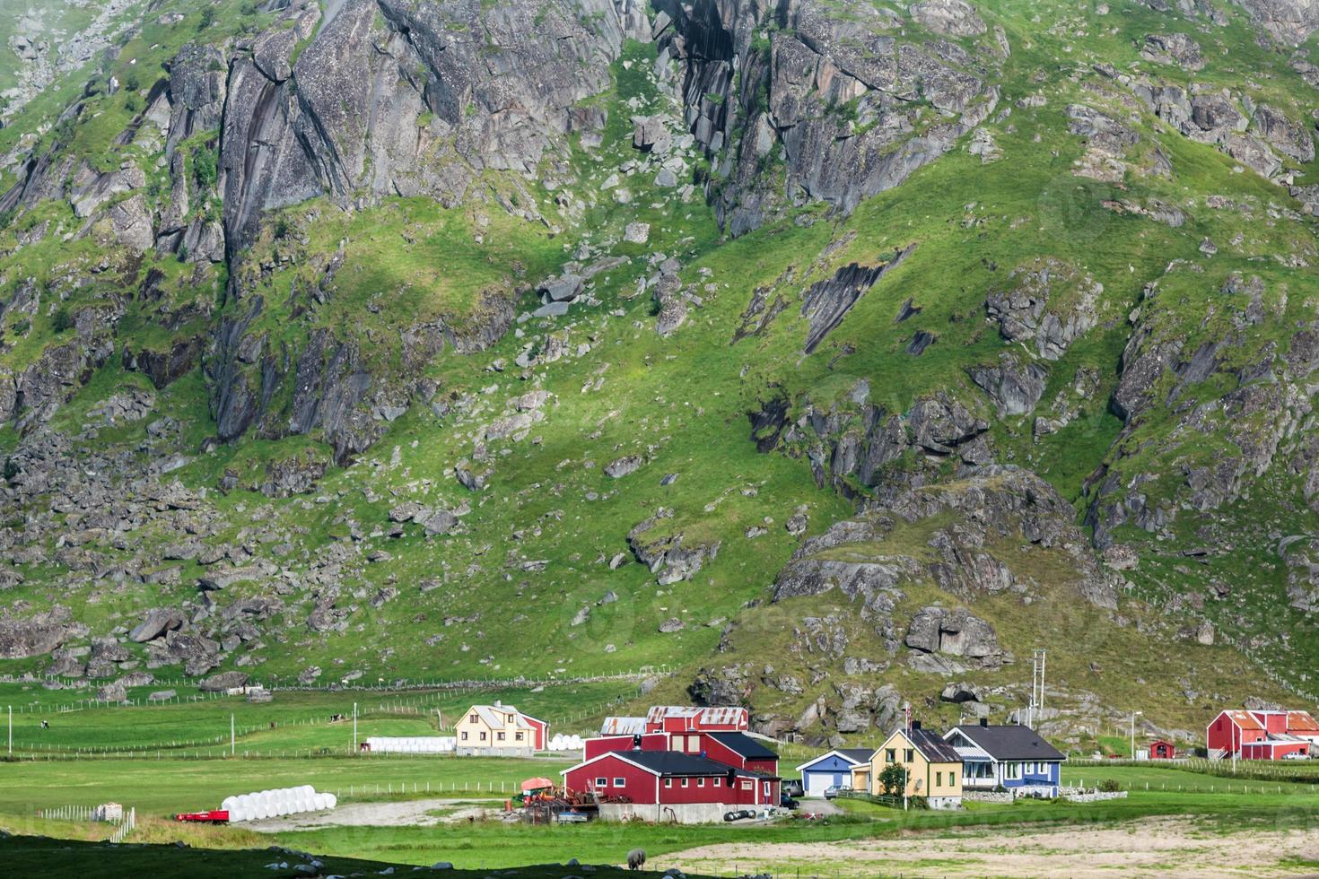 Maisons colorées traditionnelles norvégiennes, îles Lofoten, Norvège photo
