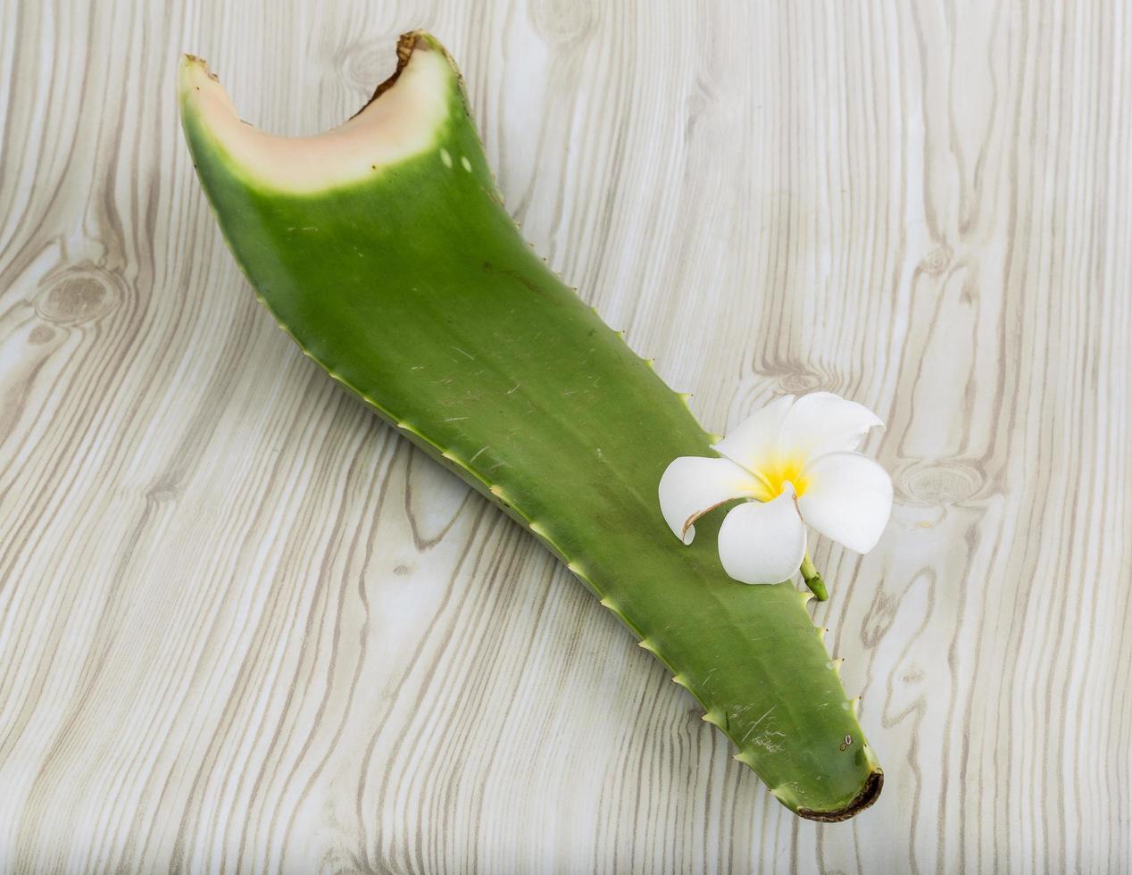 aloe vera sur fond de bois photo