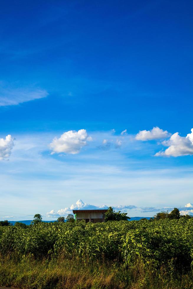 beau ciel bleu clair avec des nuages blancs, concept de fond nature. photo