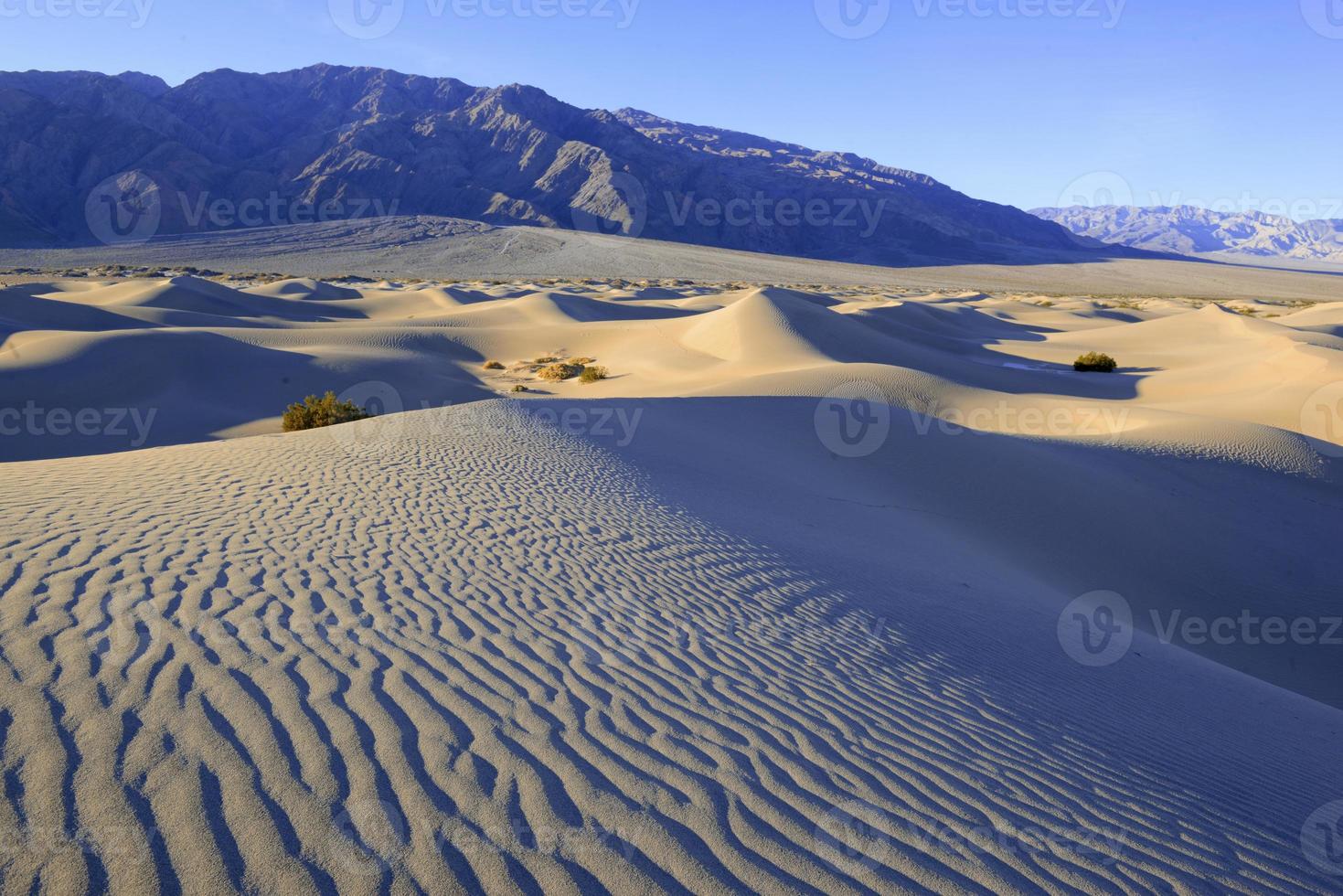 dunes de sable et montagnes dans un paysage désertique photo