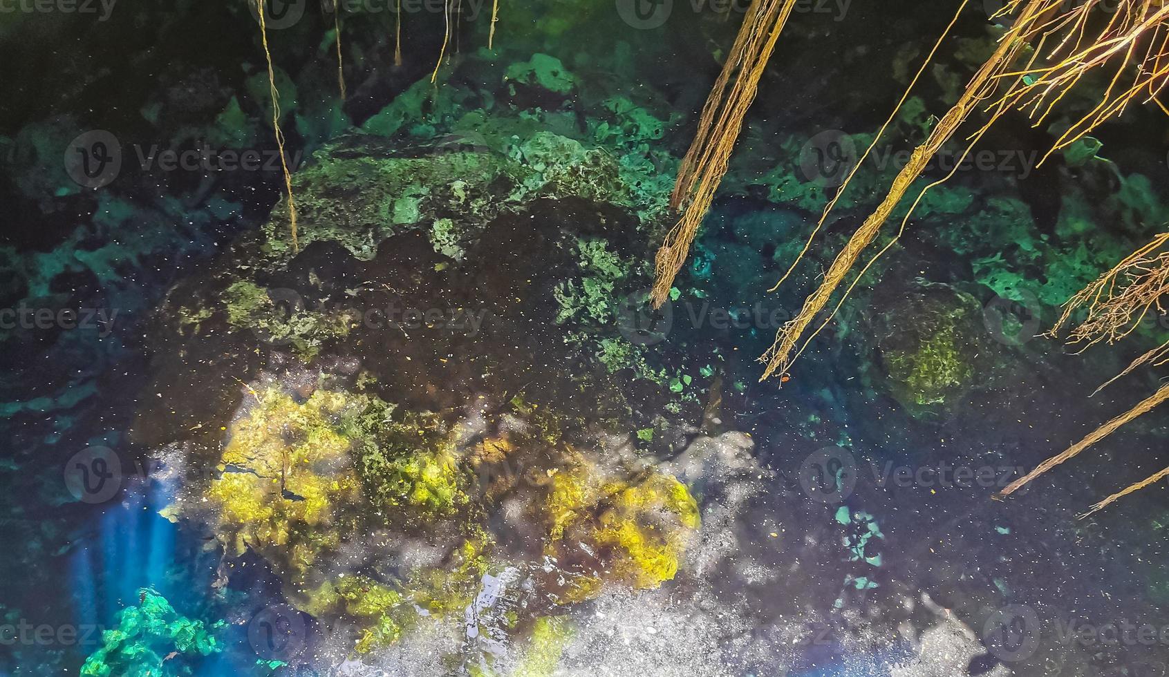 eau bleu turquoise grotte calcaire gouffre cenote tajma ha mexico. photo