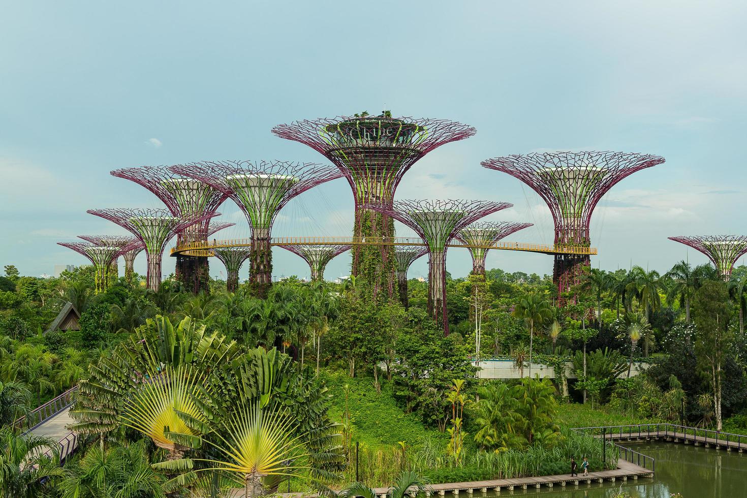 singapour, 12 mai, jardins de la baie le 12 mars 2014 à singapour. Gardens by the Bay a été couronné bâtiment mondial de l'année au festival mondial d'architecture 2012 photo