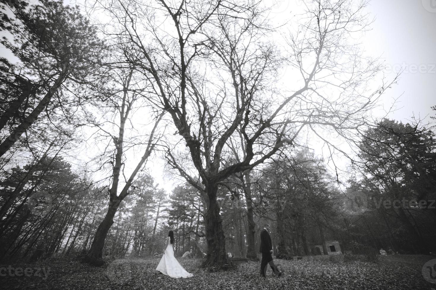 couple marié à l'extérieur photo