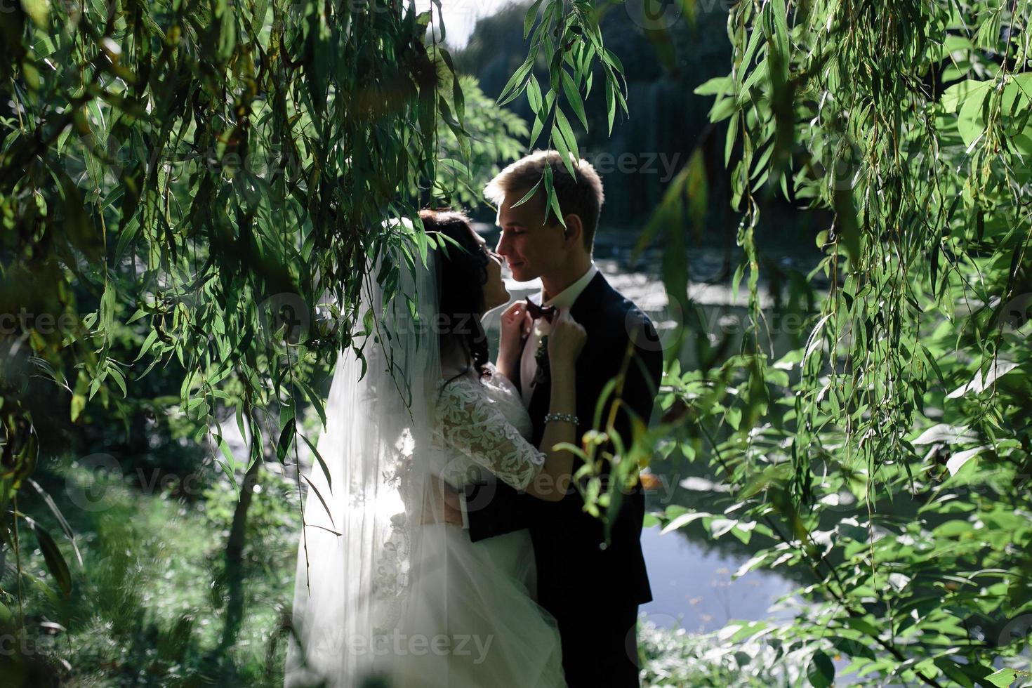 vue de la fête de mariage photo