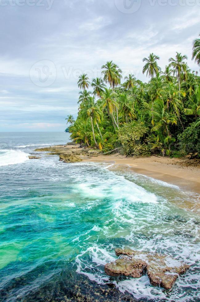 plage sauvage des caraïbes du costa rica - manzanillo photo
