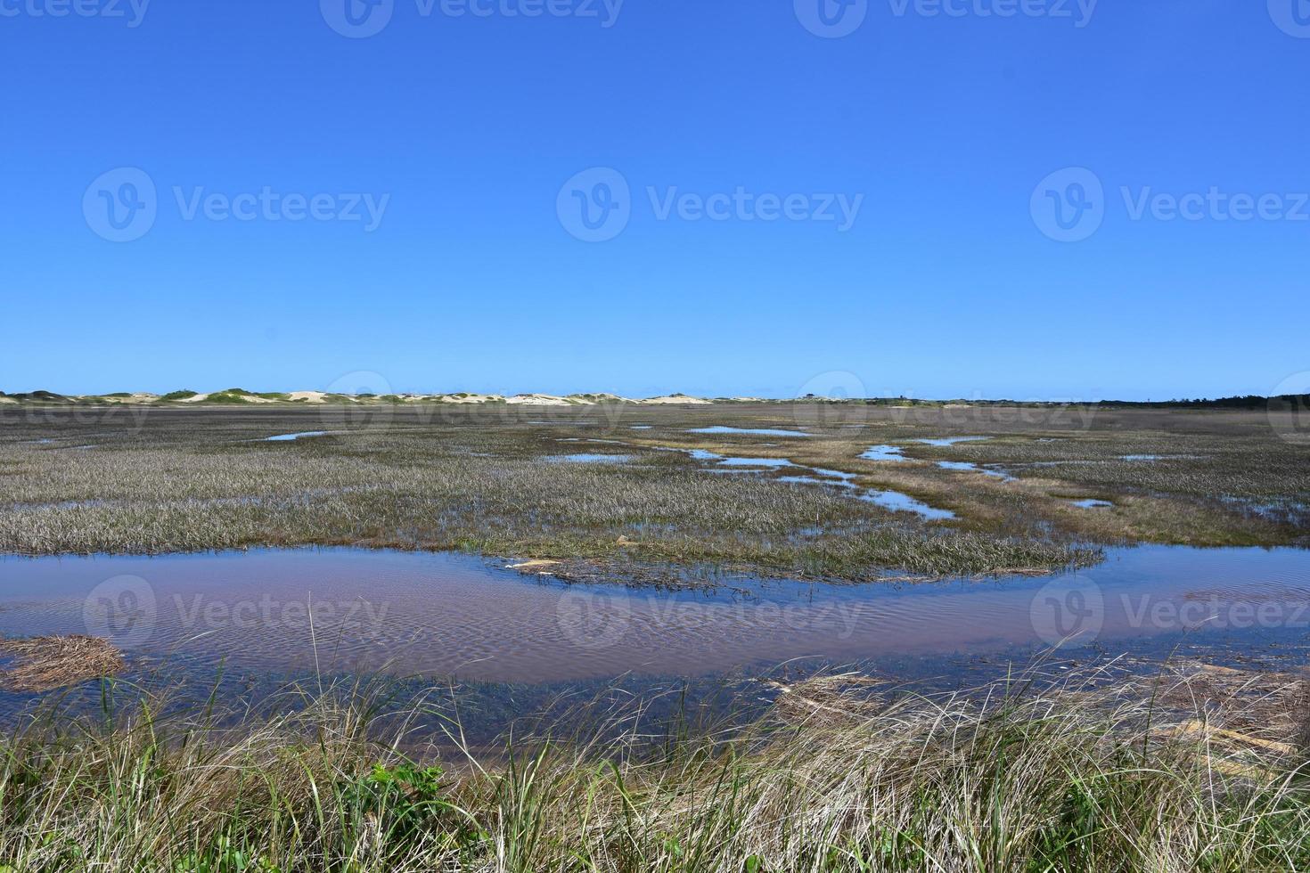 petit ruisseau et rivière qui coule à travers les terres de marée photo